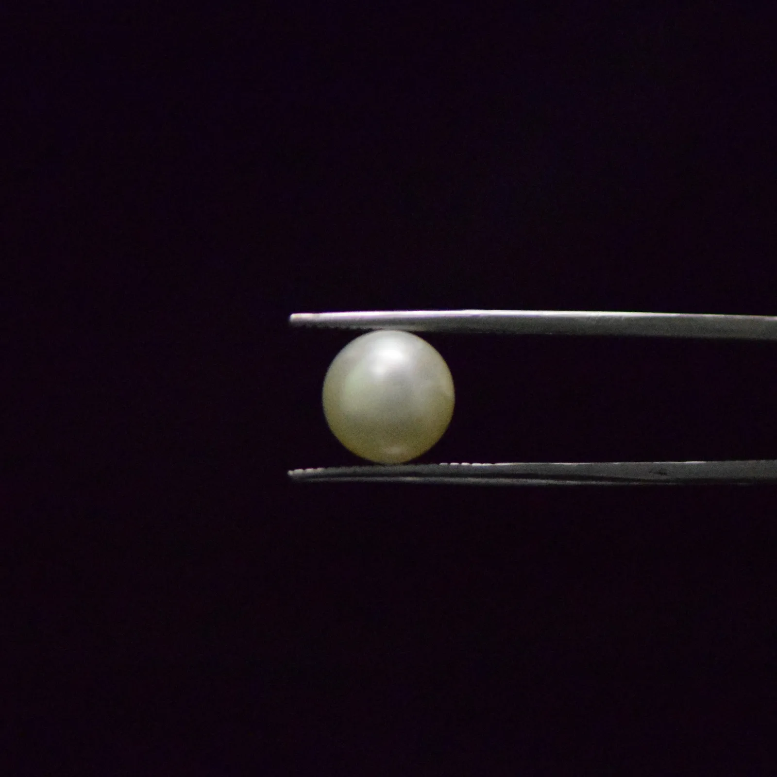 South Sea Pearl - 6.56 Carat