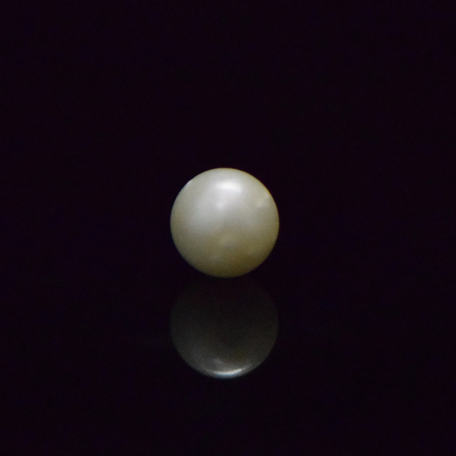 South Sea Pearl - 5.53 Carat