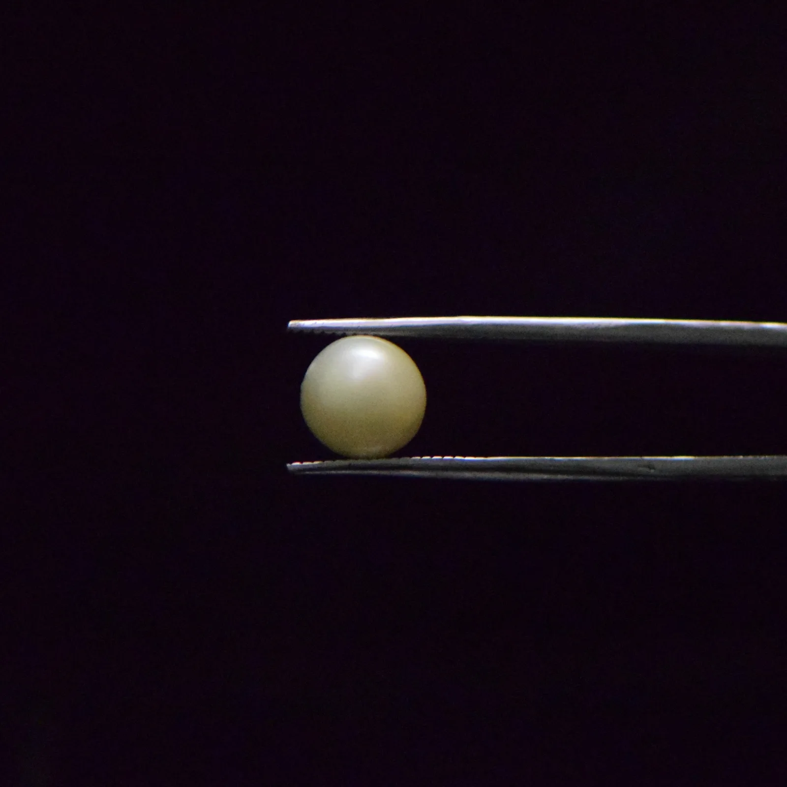 South Sea Pearl - 5.53 Carat