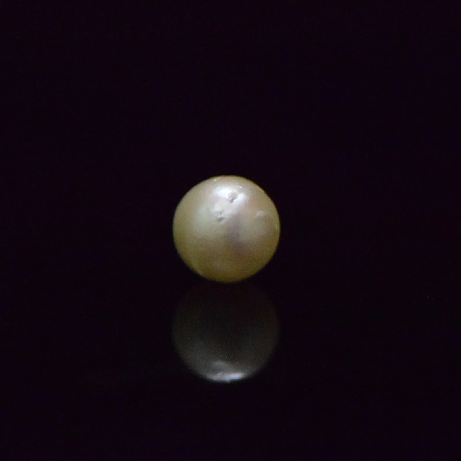 South Sea Pearl - 6.54 Carat