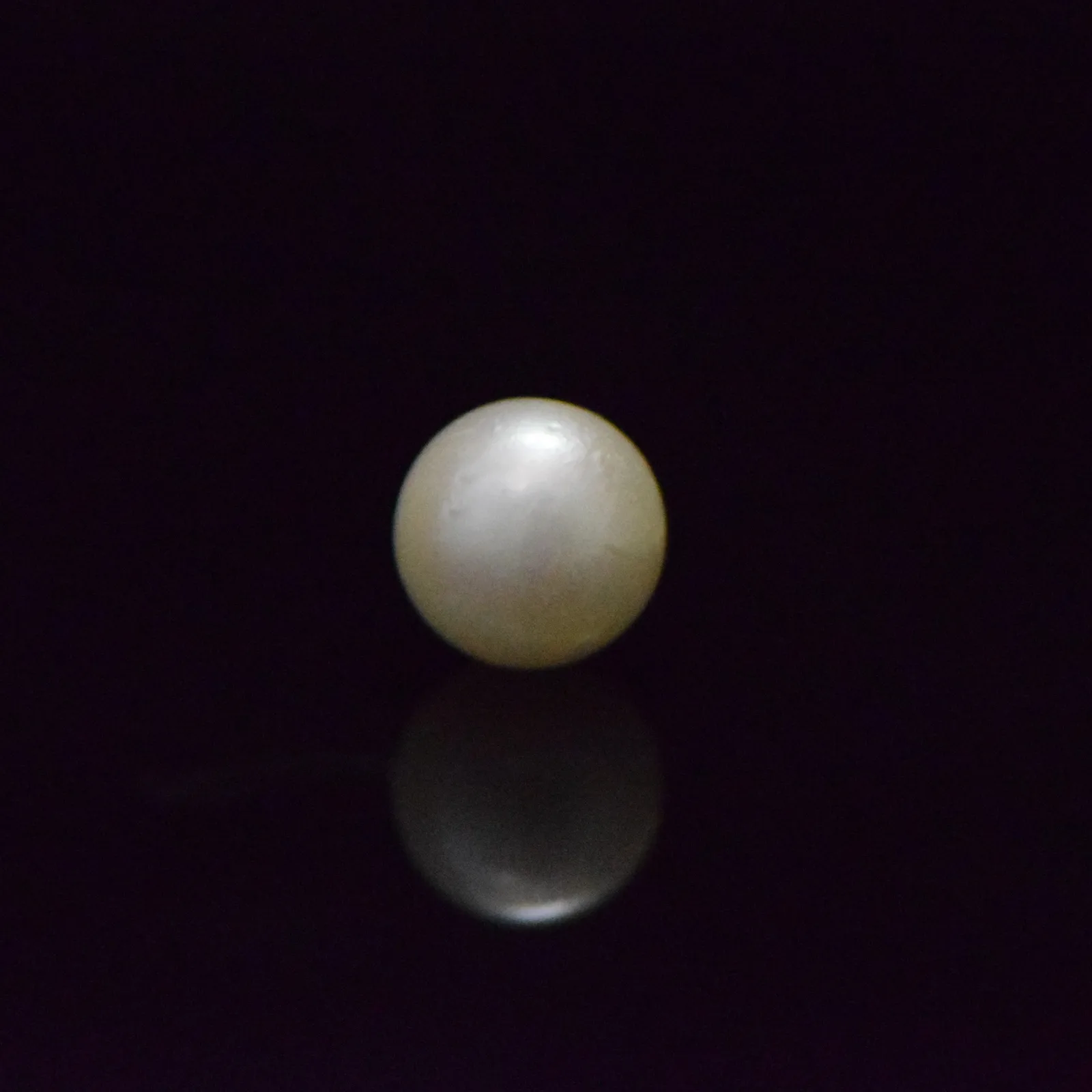 South Sea Pearl - 8.55 Carat