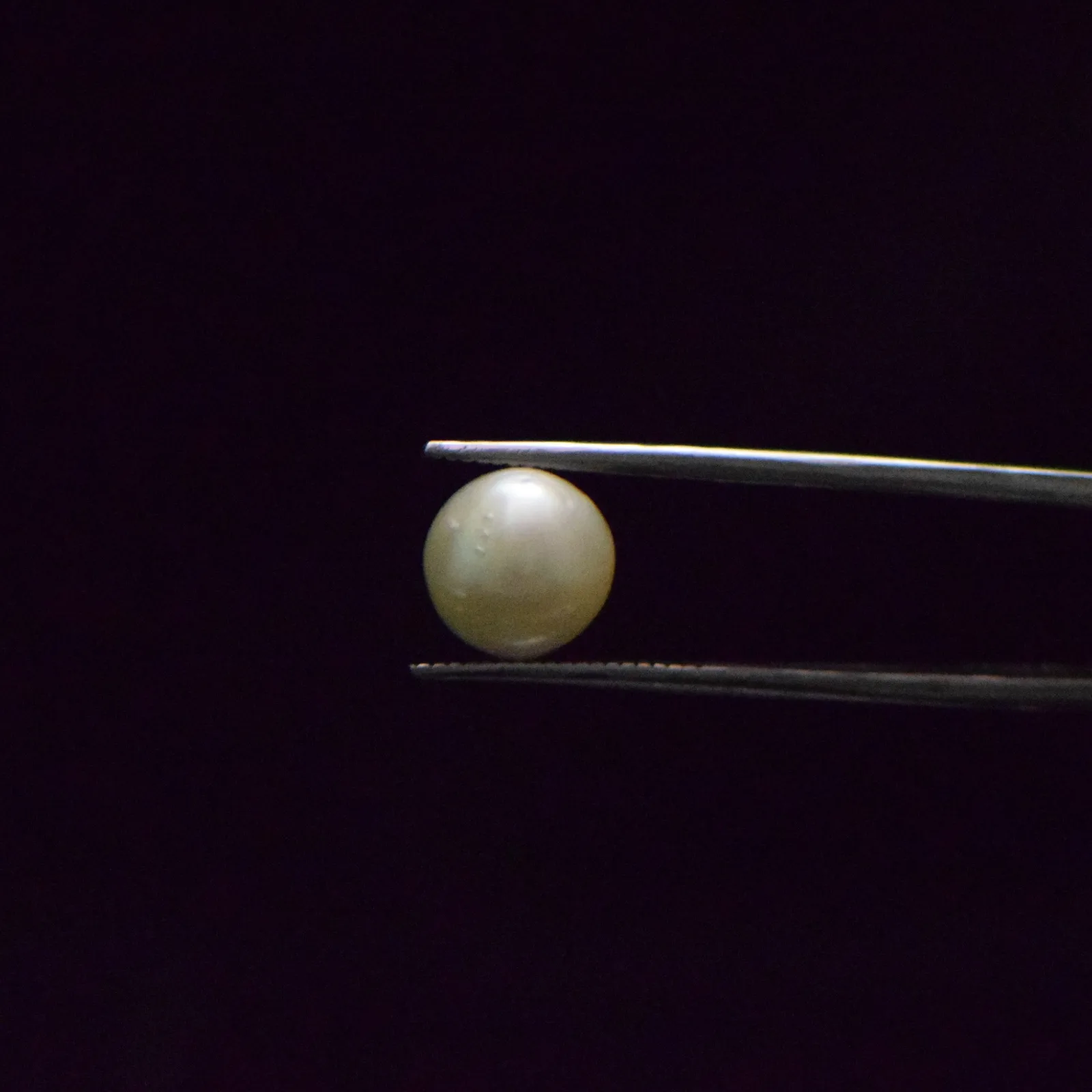 South Sea Pearl - 6.75 Carat