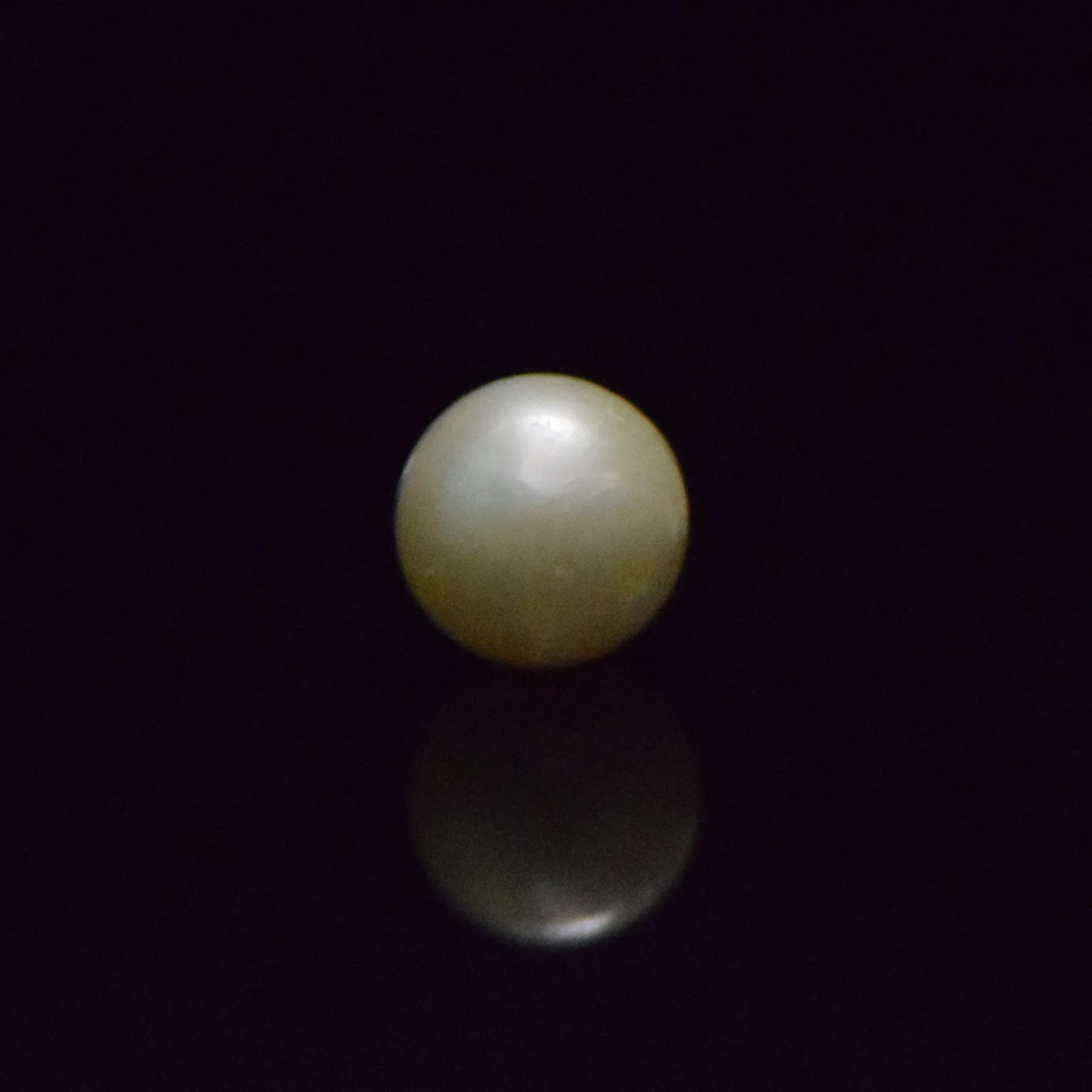 South Sea Pearl - 9.28 Carat
