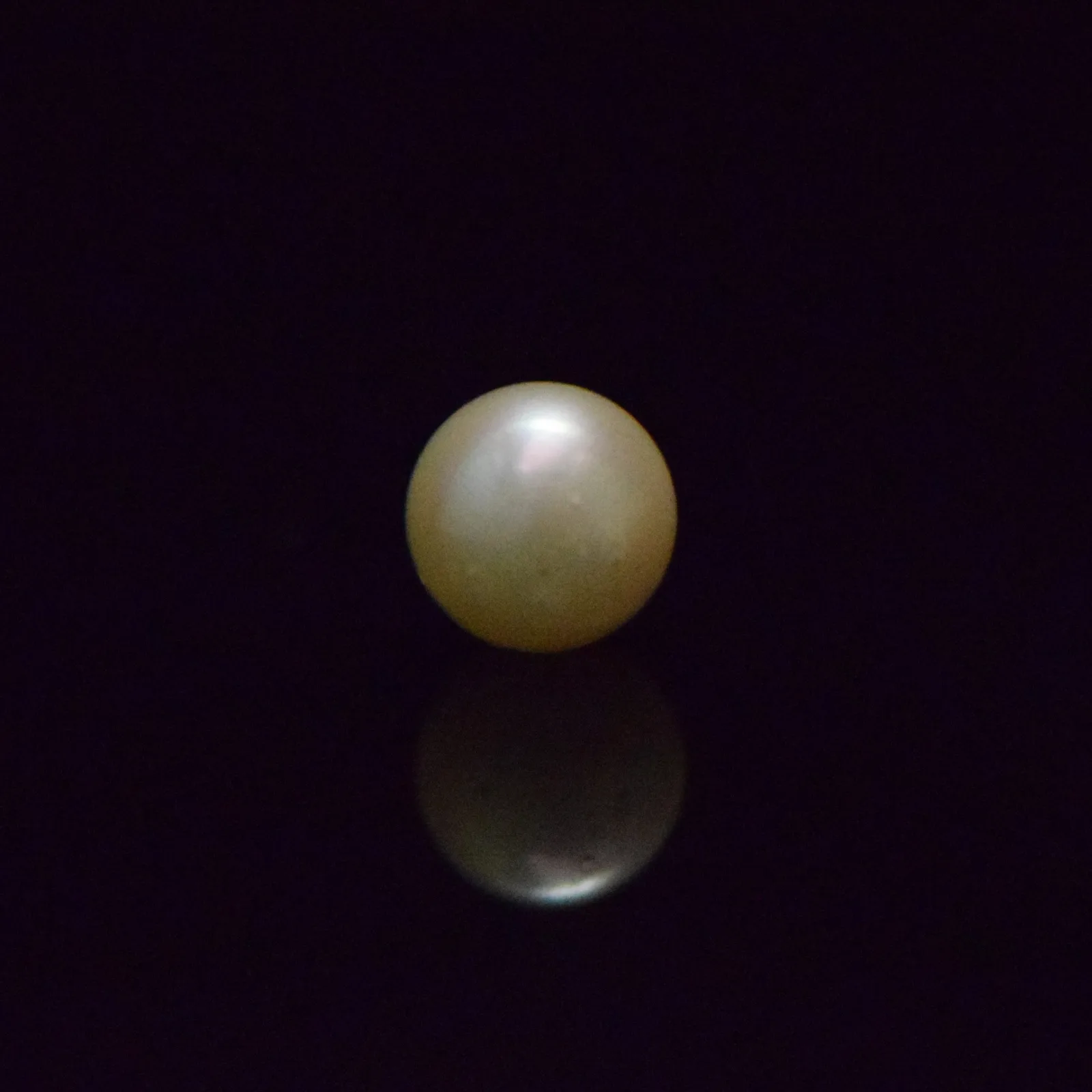 South Sea Pearl - 6.42 Carat