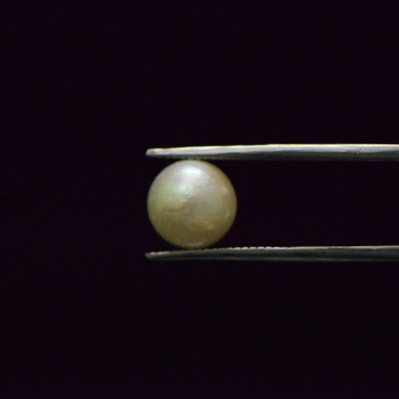 South Sea Pearl - 5.62 Carat