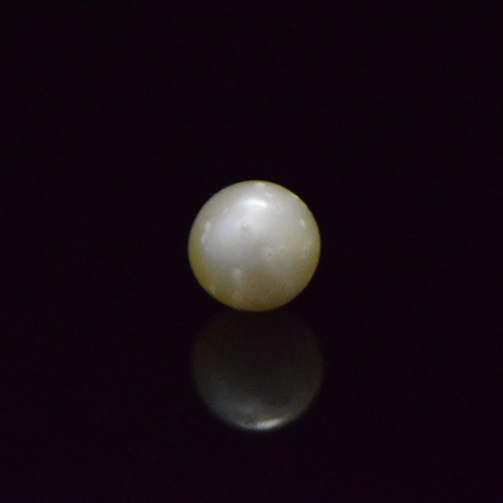 South Sea Pearl - 6.52 Carat