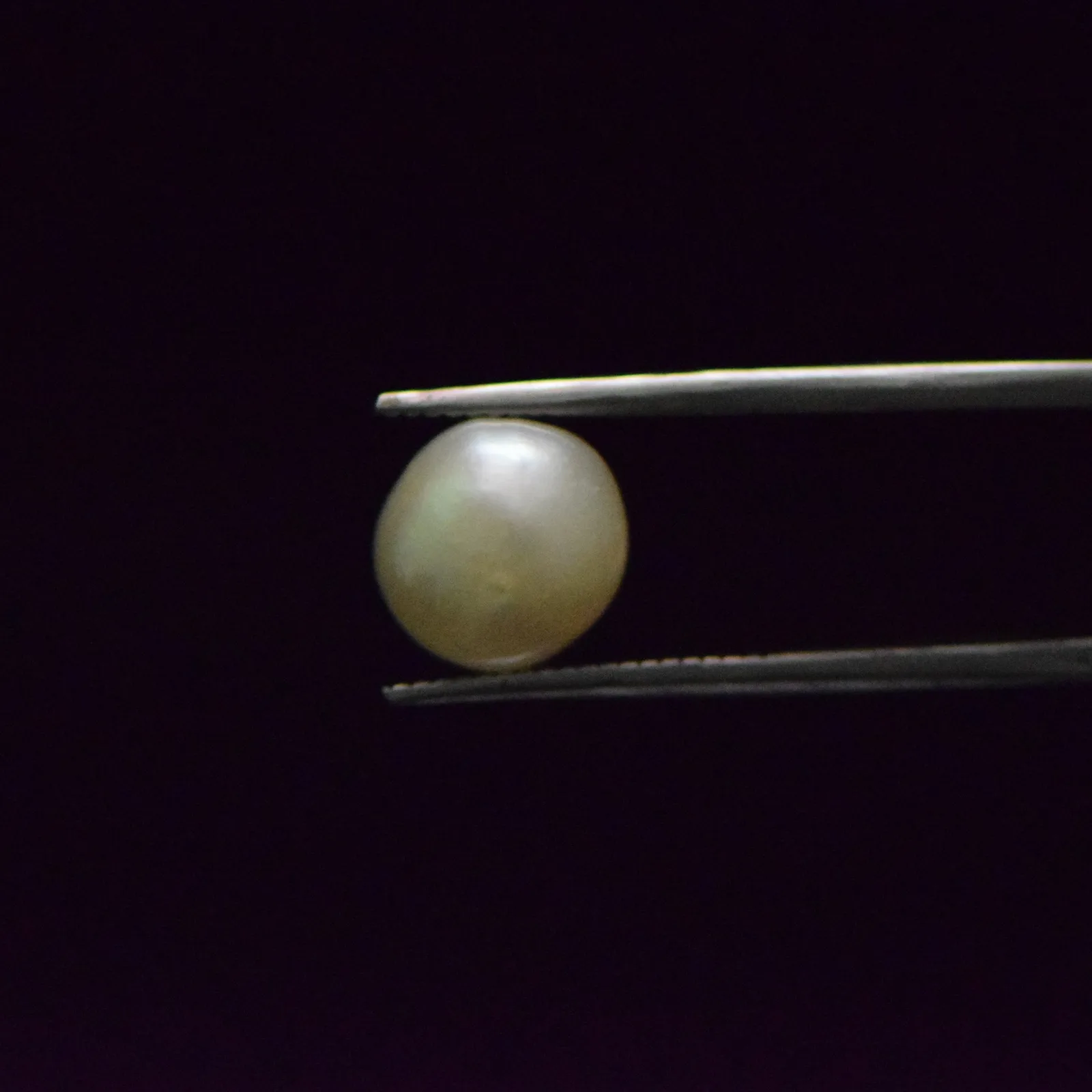 South Sea Pearl - 6.61 Carat
