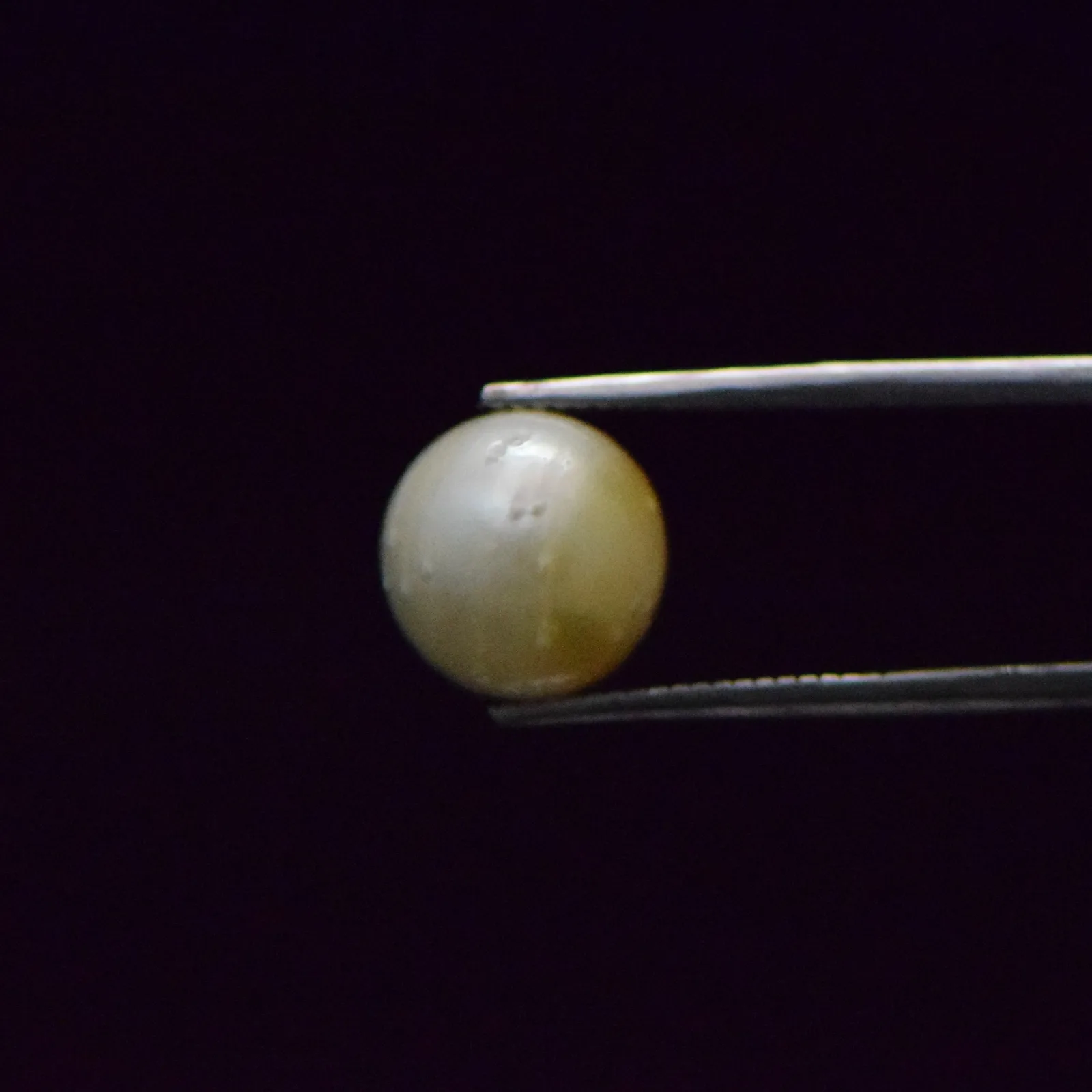 South Sea Pearl - 9.27 Carat