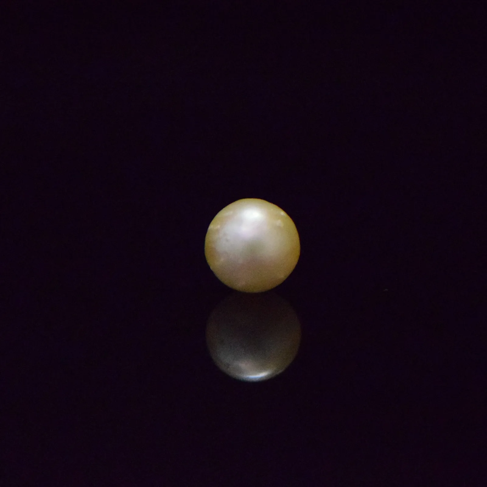 South Sea Pearl - 5.66 Carat