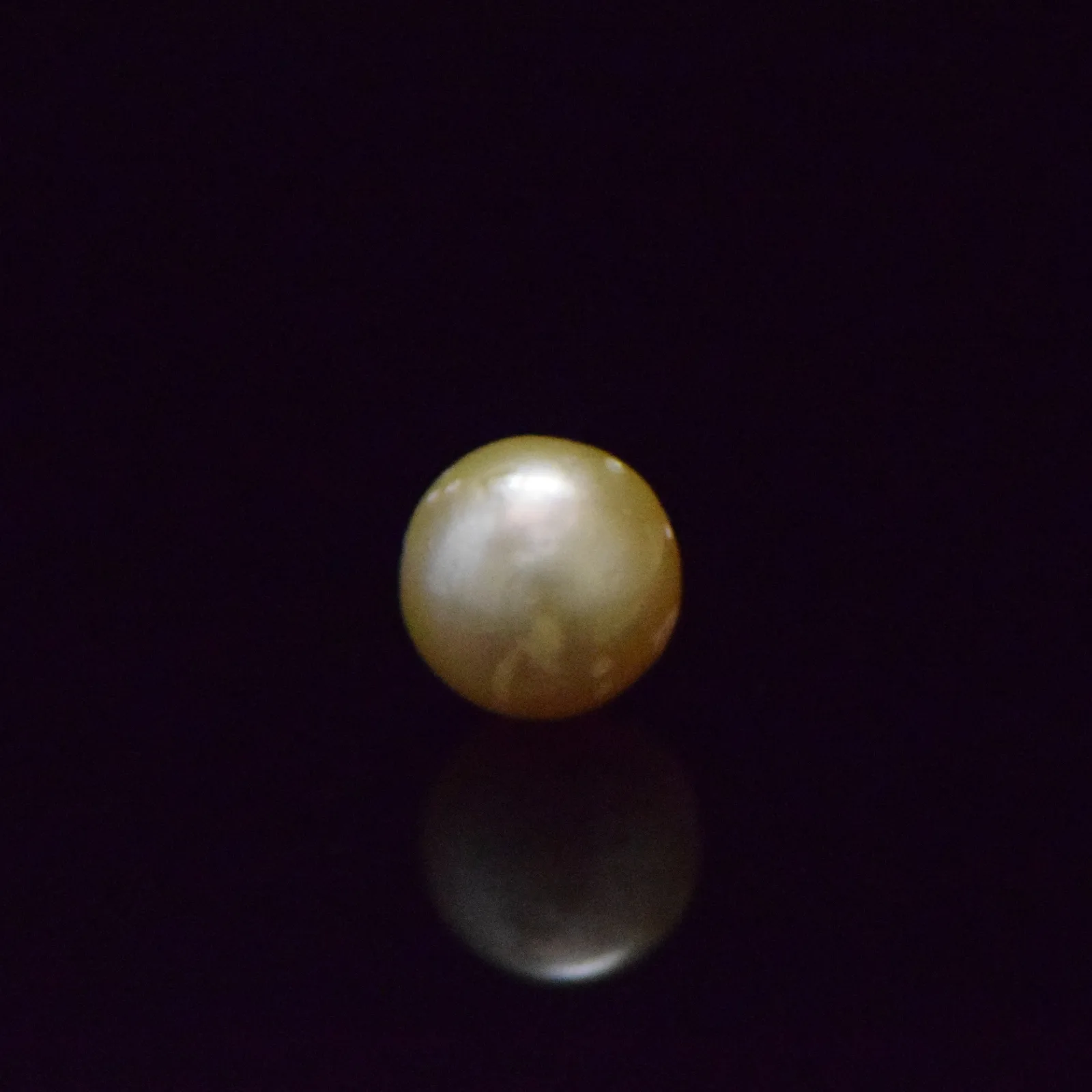 South Sea Pearl - 9.26 Carat