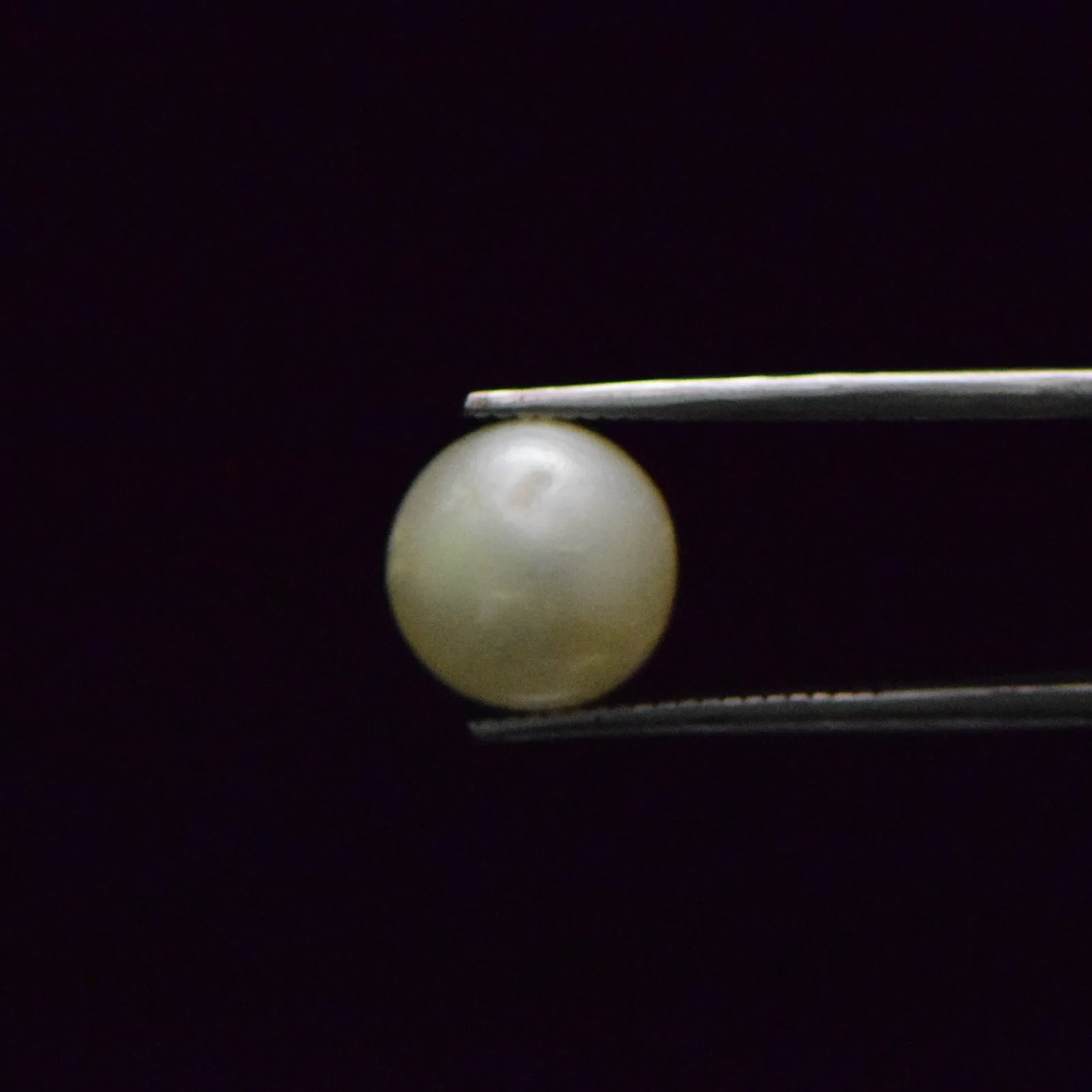 South Sea Pearl - 8.51 Carat