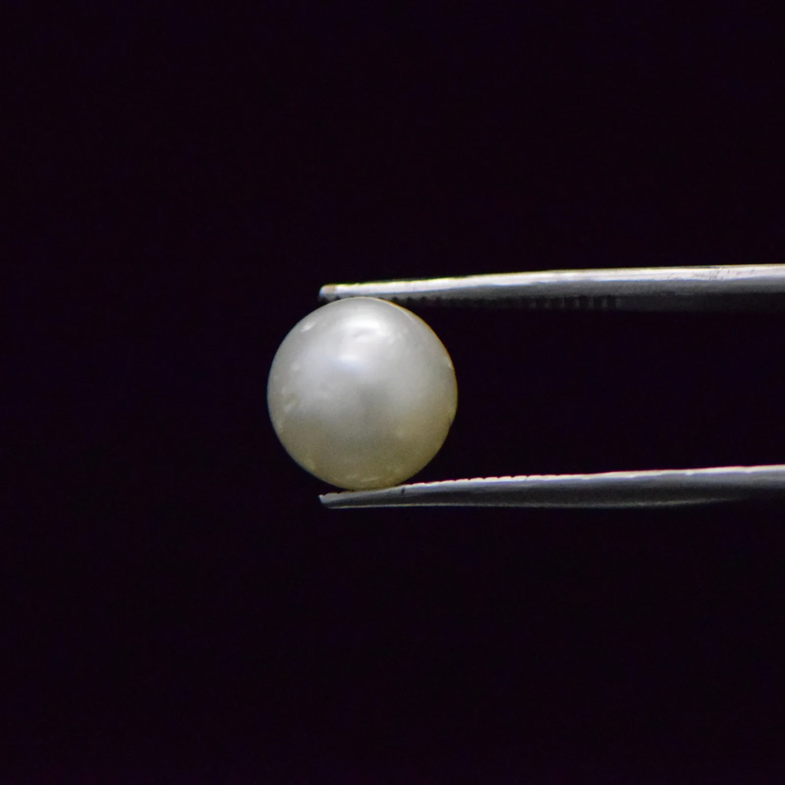South Sea Pearl - 8.52 Carat