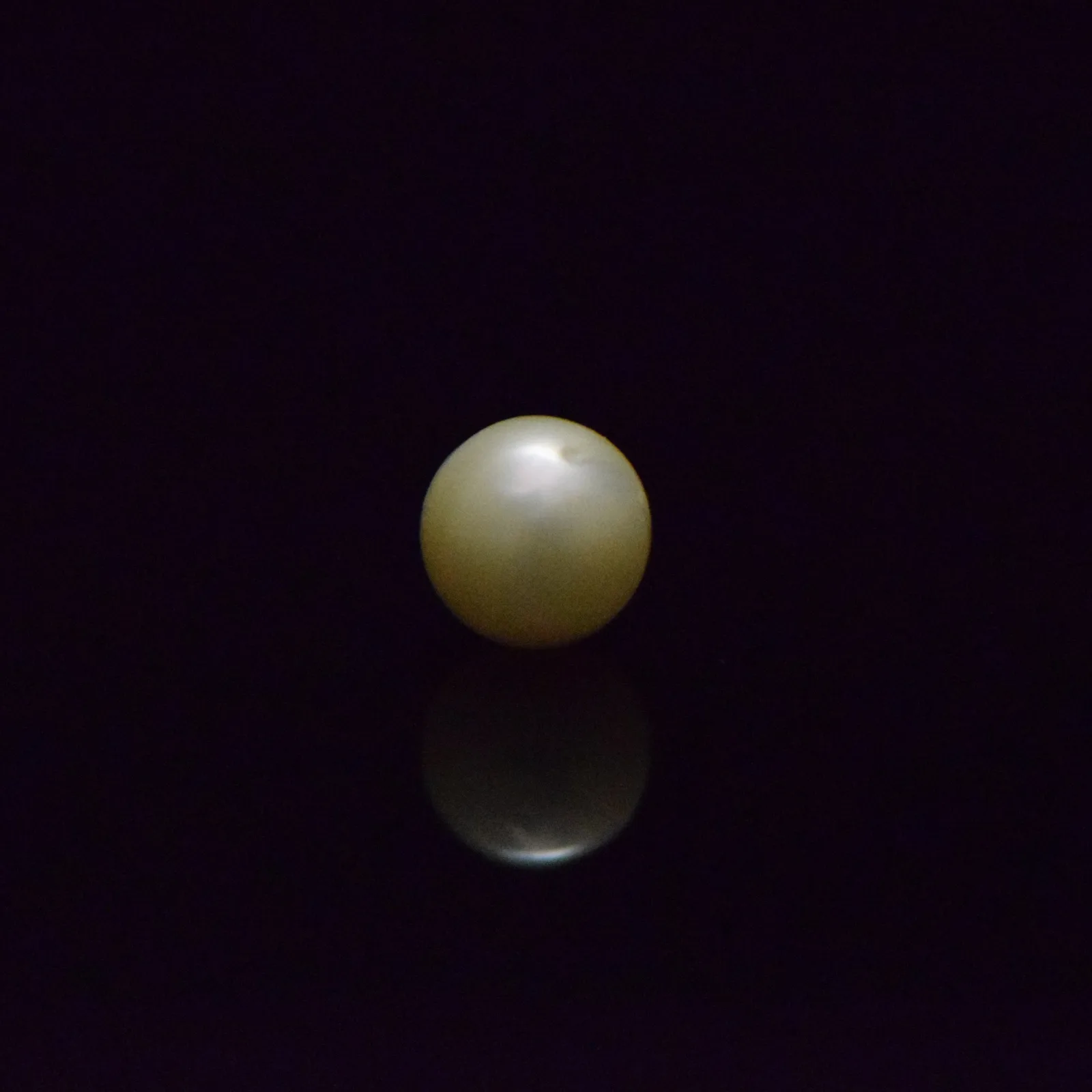 South Sea Pearl - 7.37 Carat