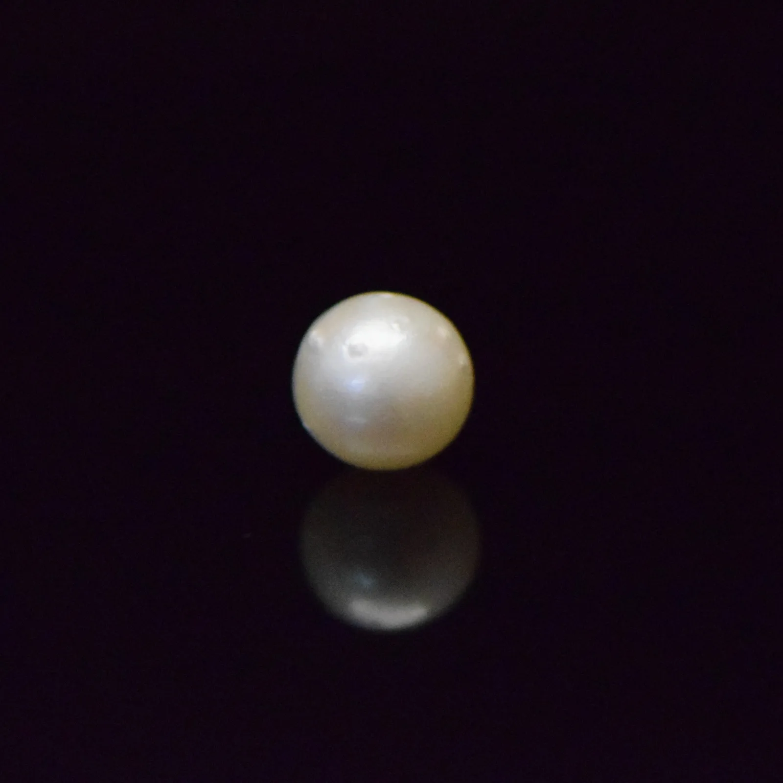 South Sea Pearl - 7.45 Carat