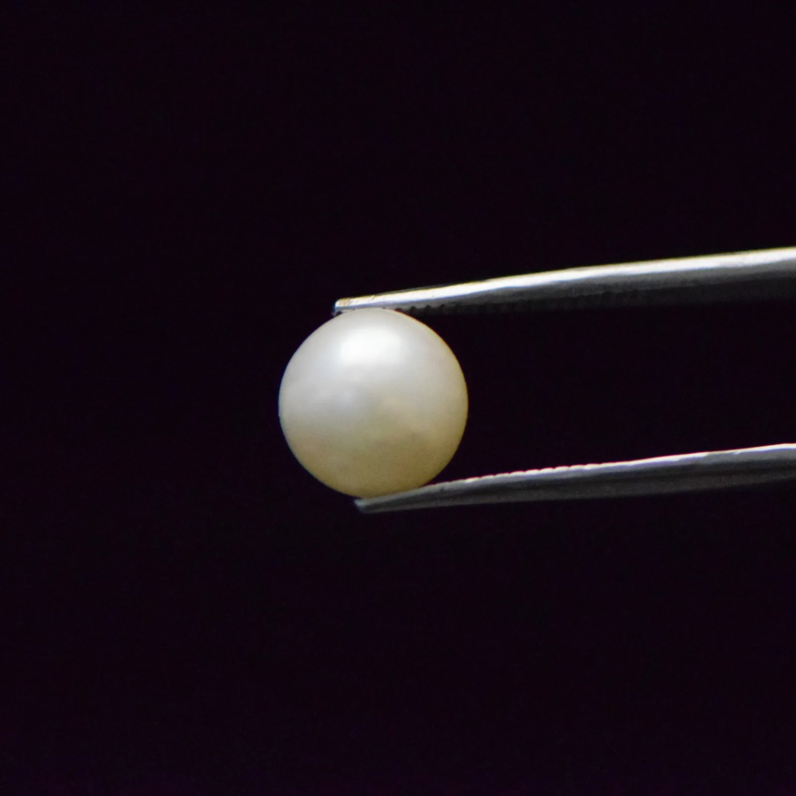 South Sea Pearl - 7.37 Carat