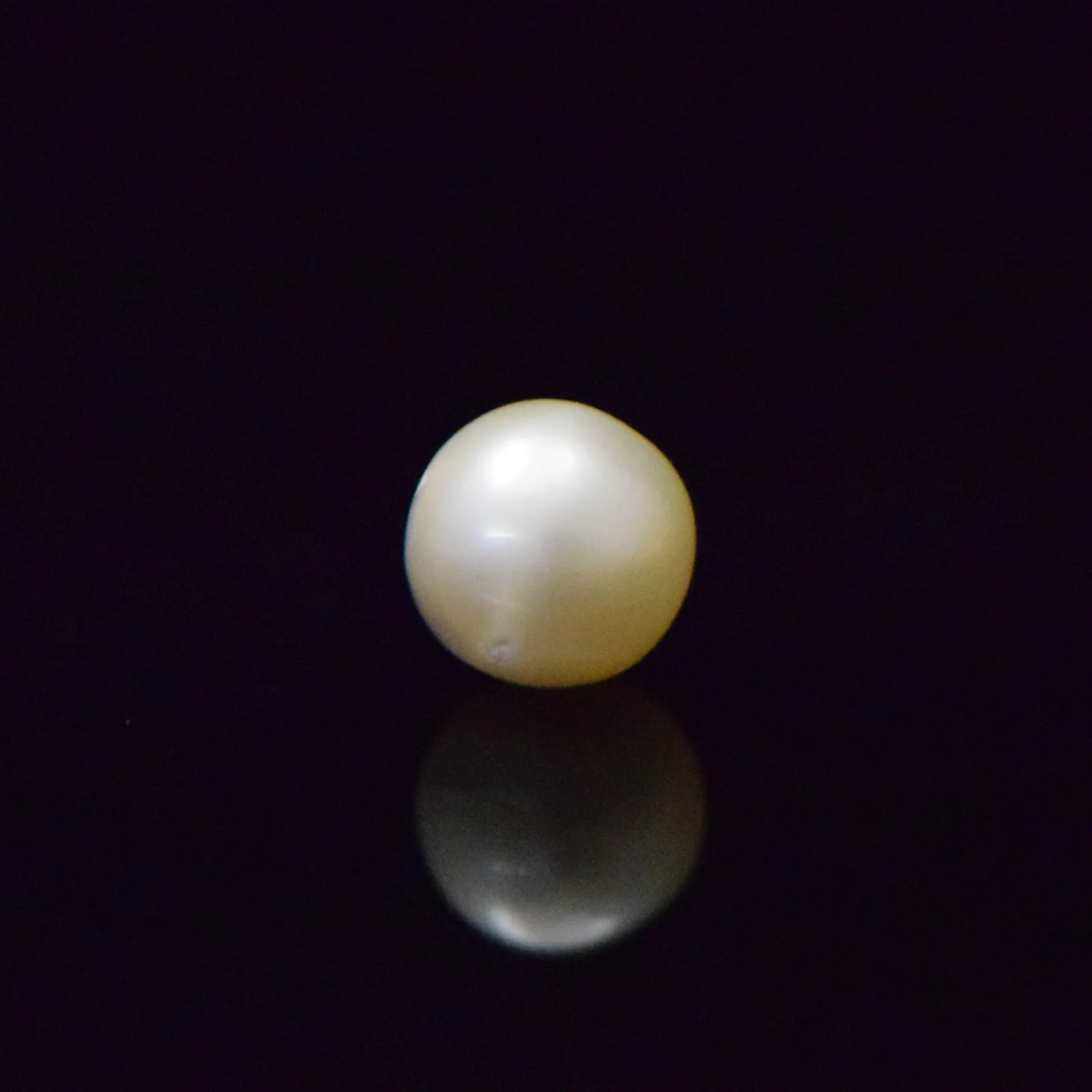 South Sea Pearl - 7.69 Carat