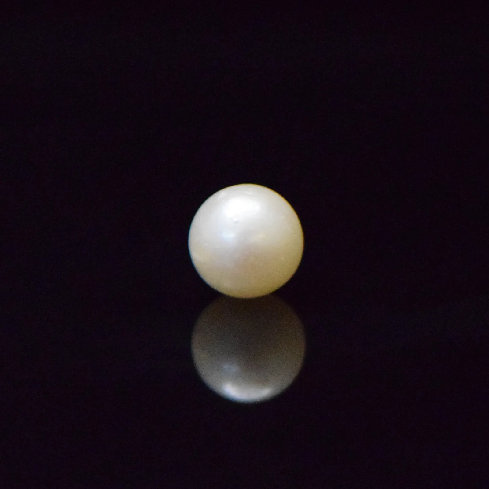 South Sea Pearl - 8.33 Carat