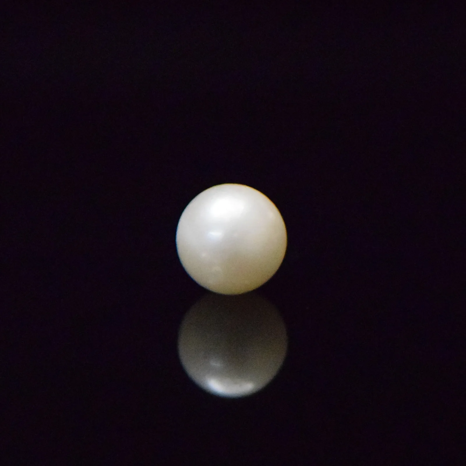 South Sea Pearl - 7.27 Carat