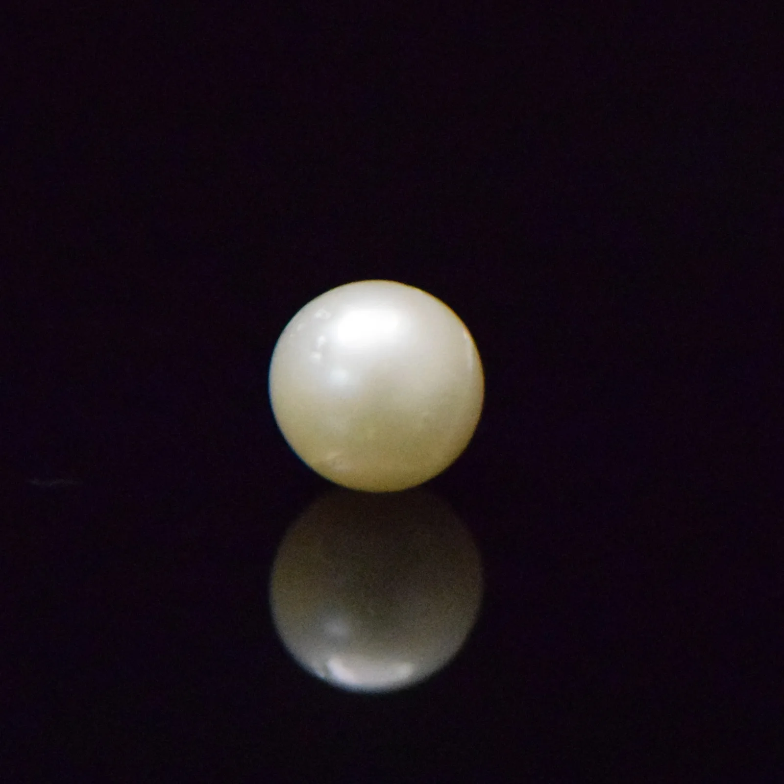South Sea Pearl - 8.48 Carat