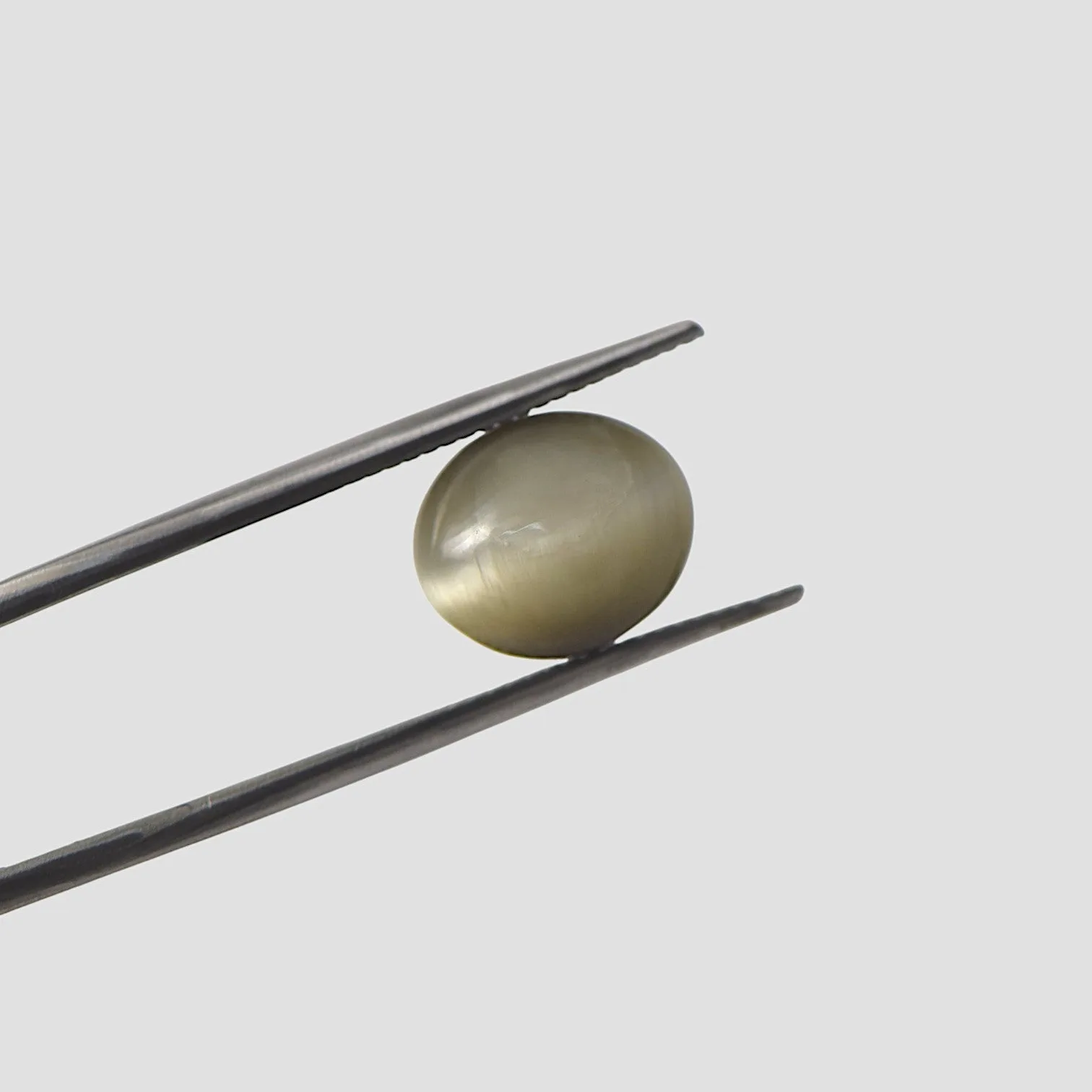 Cat's Eye - 5.73 Carat / AAA-Quality