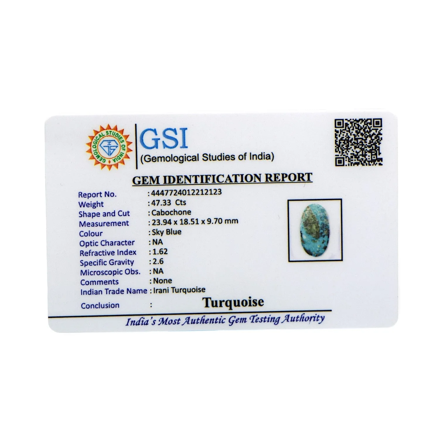 Irani Turquoise - 47.33 Carat / AA-Quality