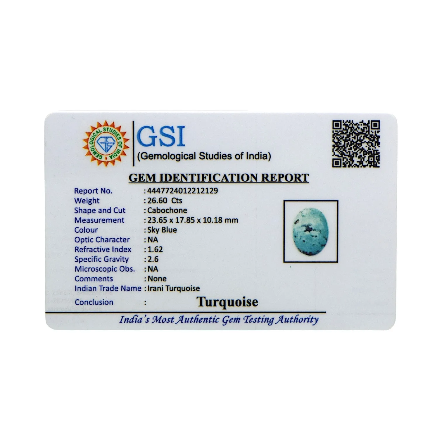 Irani Turquoise - 26.6 Carat / AAA-Quality