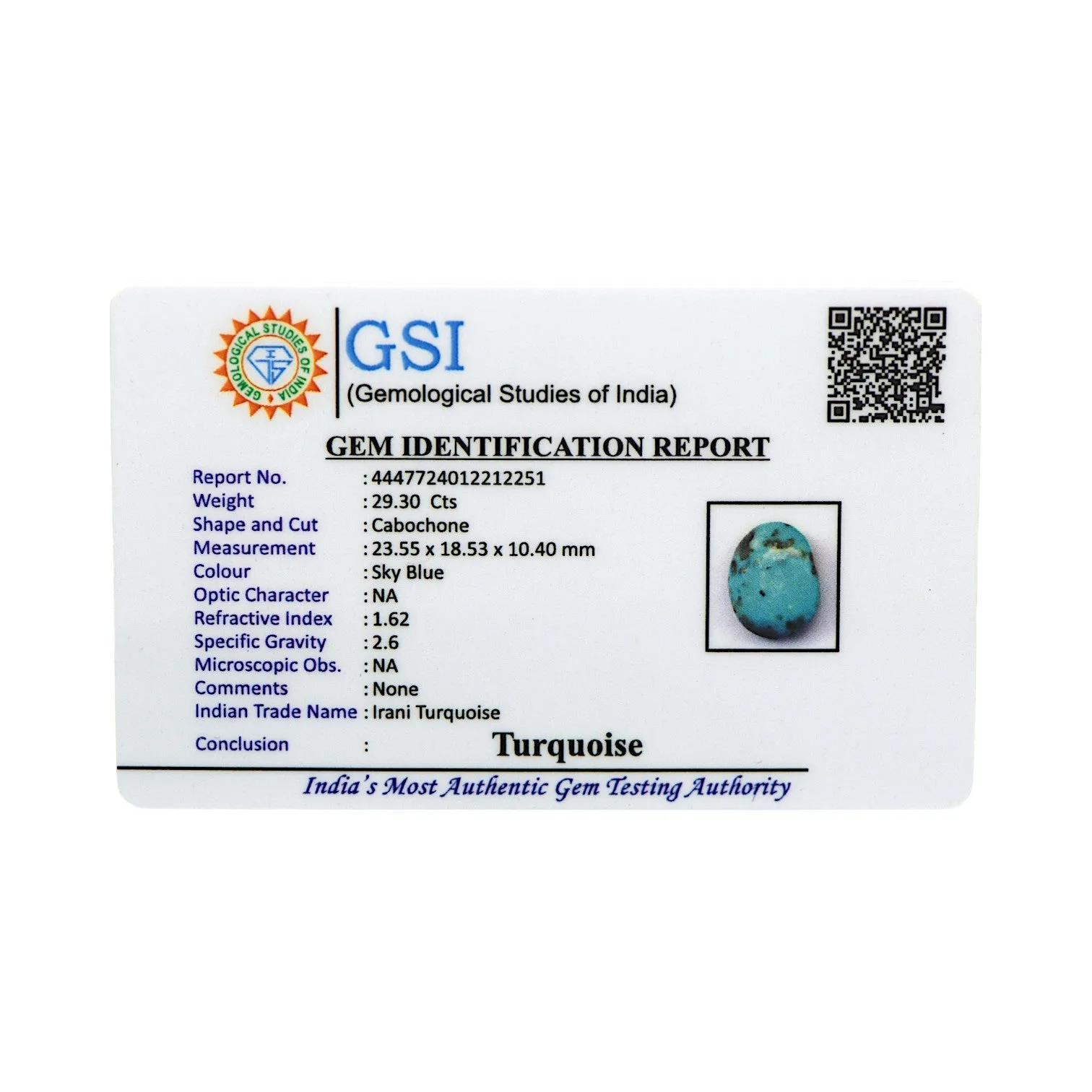 Irani Turquoise - 29.3 Carat / AAA-Quality