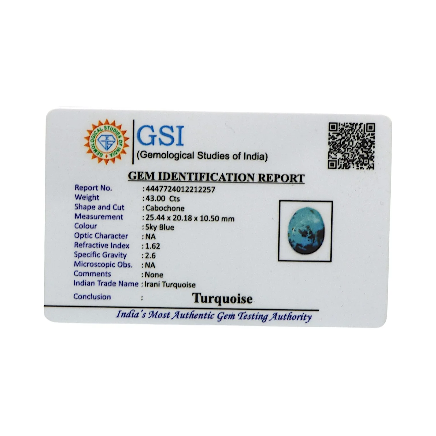 Irani Turquoise - 43 Carat / AAA-Quality