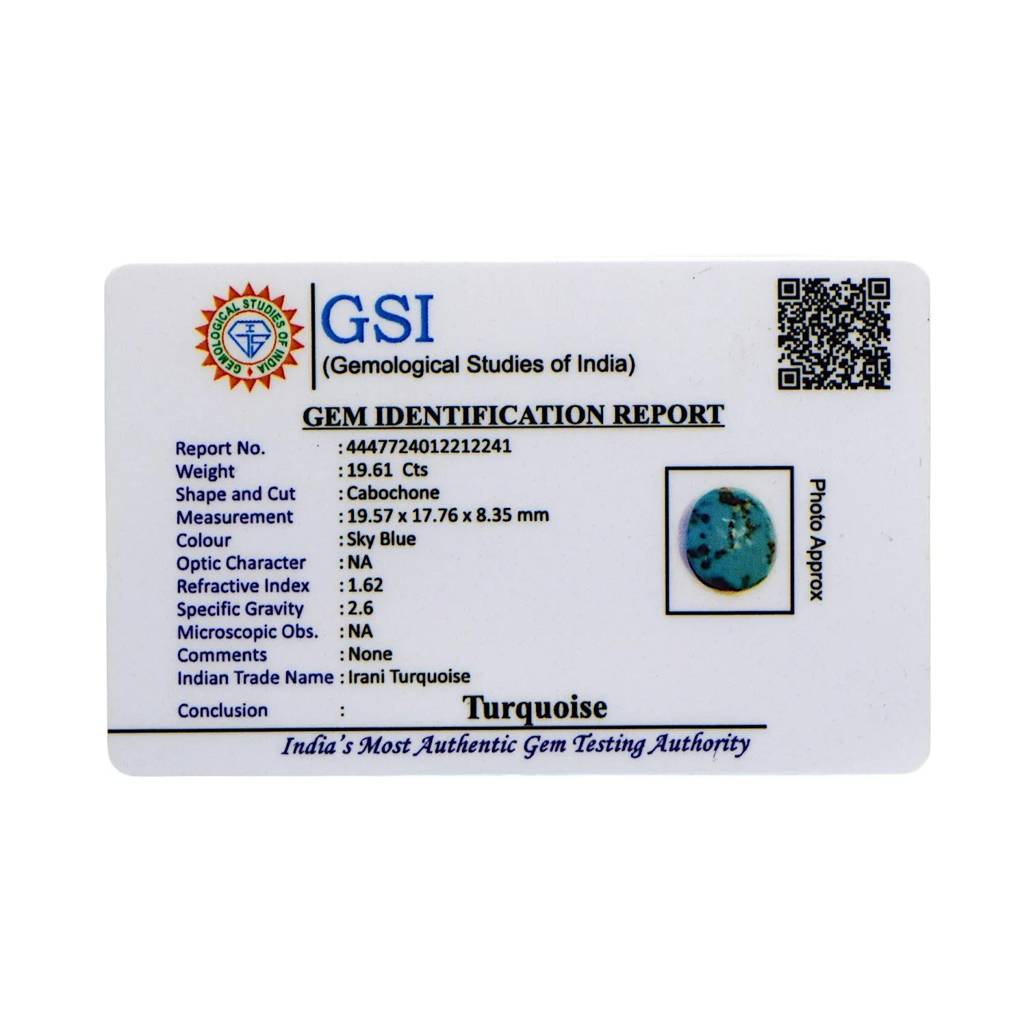 Irani Turquoise - 19.61 Carat / AAA-Quality