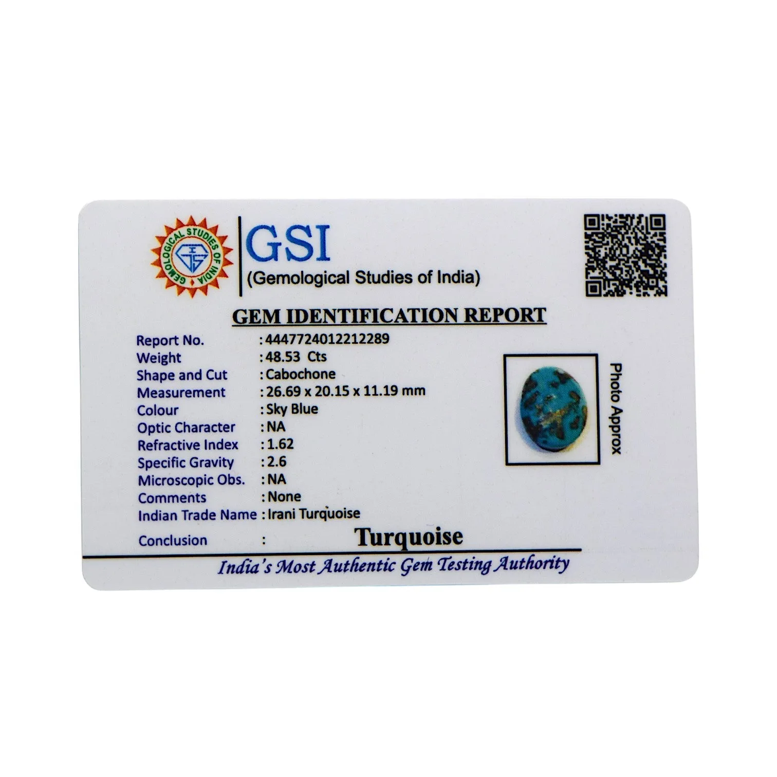 Irani Turquoise - 48.53 Carat / AAA-Quality
