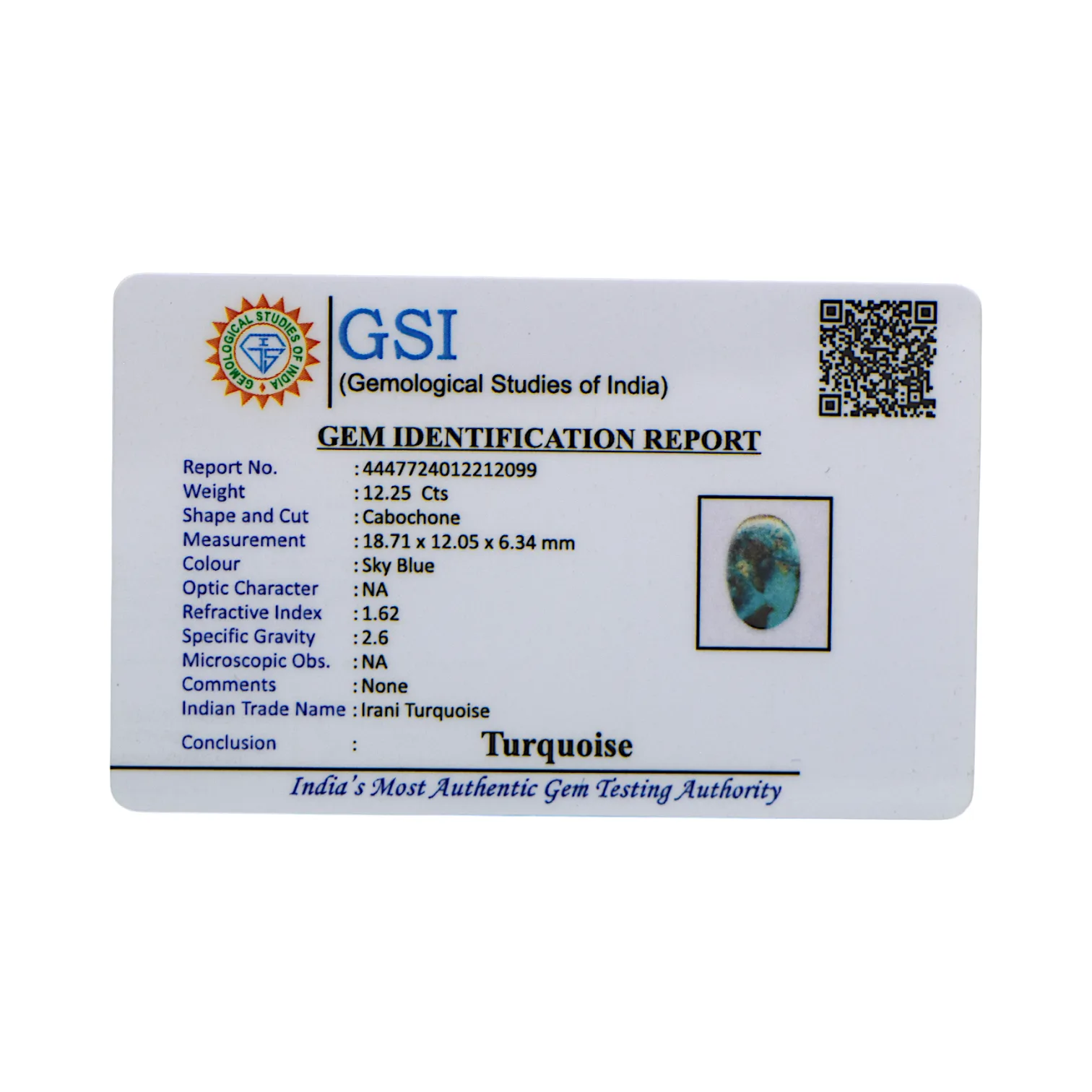 Irani Turquoise - 12.25 Carat / AA-Quality