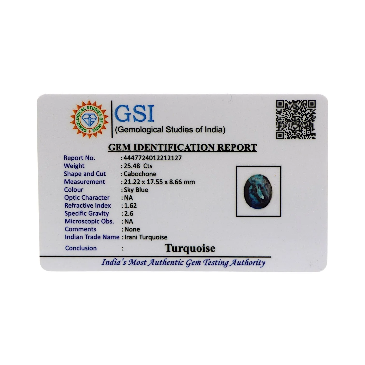 Irani Turquoise - 25.48 Carat / AA-Quality