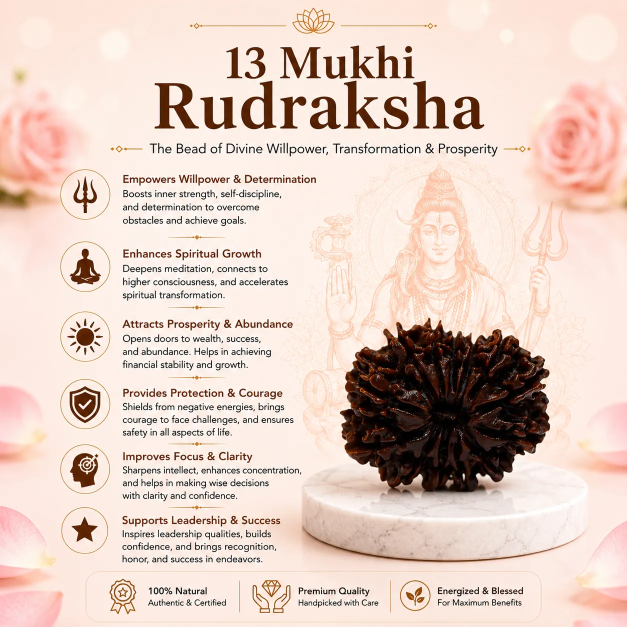 Natural 13 Mukhi Rudraksha Beads
