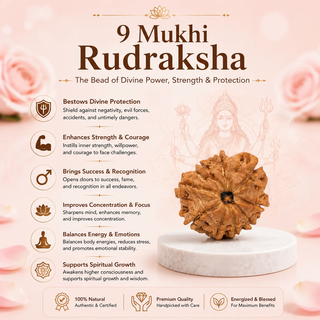 Natural 9 Mukhi Nepali Rudraksha Beads